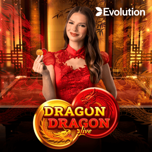 Dragon Dragon game cover
